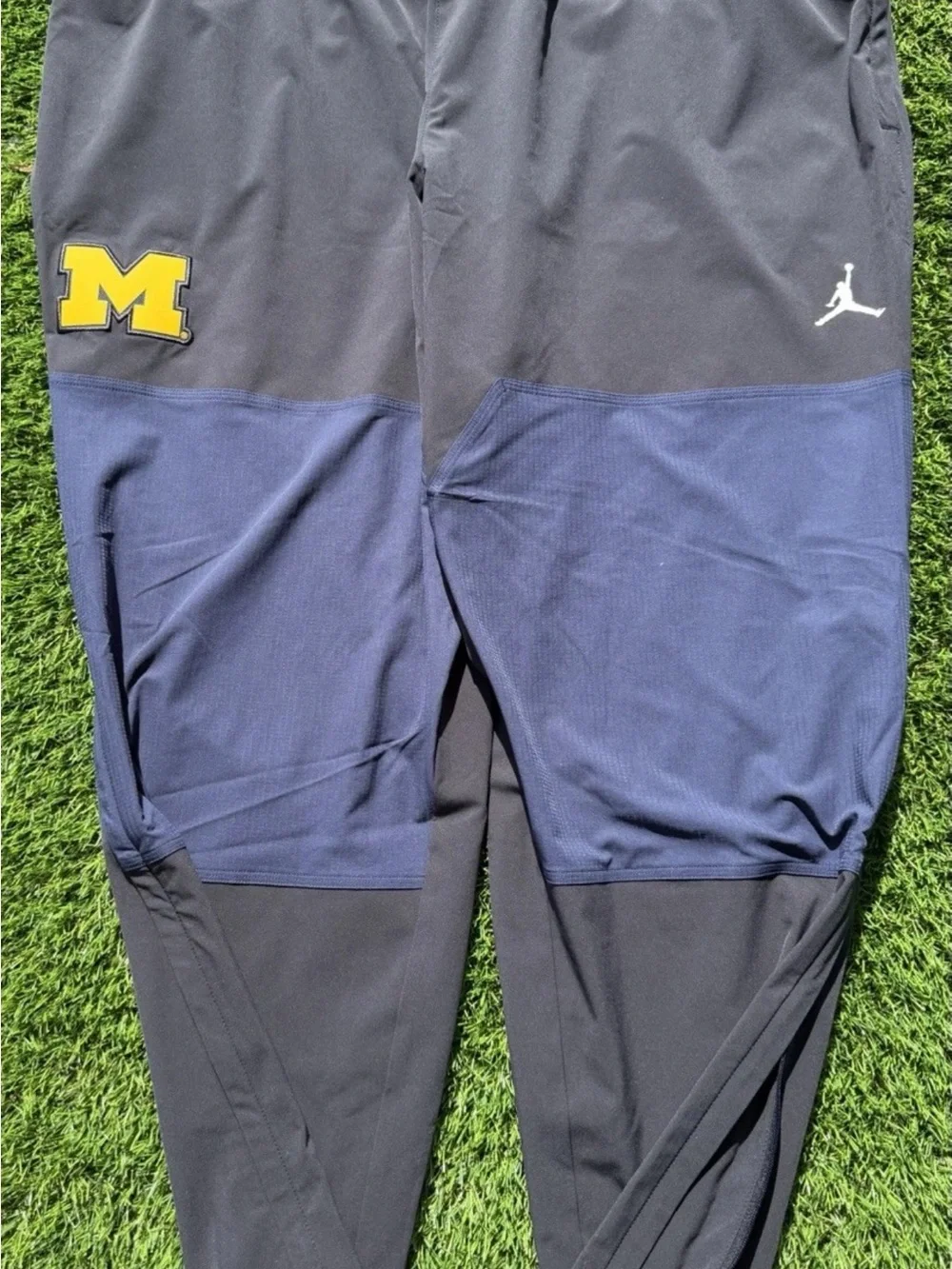 Jordan Brand Nike Michigan Wolverines PE Sideline Pants 2025 IH9496-419 Mens L